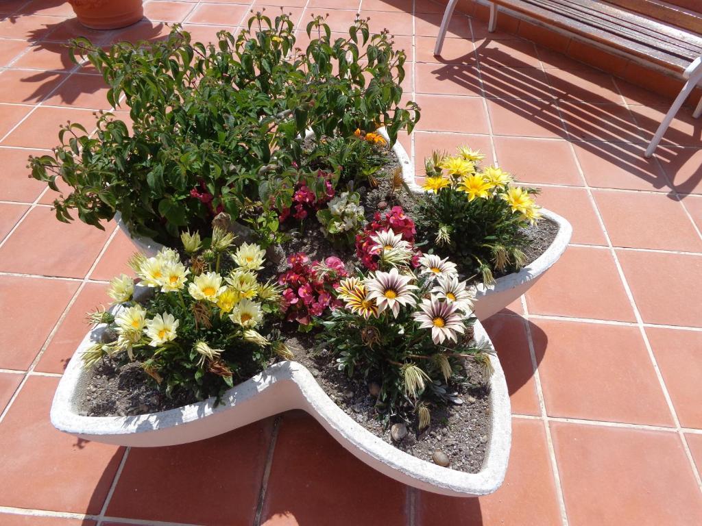 Villa Flavia - Adults Only Ponza Bagian luar foto
